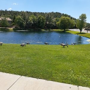 Meet your Posher, Mariam